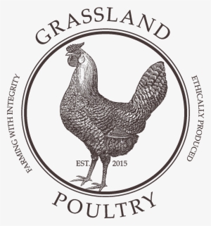 Grassland Poultry - Chicken Whisperer Note Cards