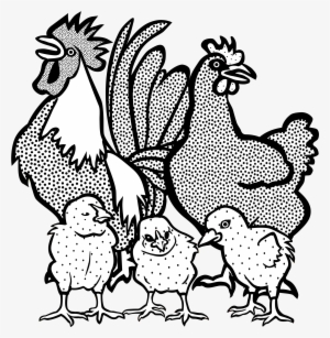 This Free Icons Png Design Of Chickens