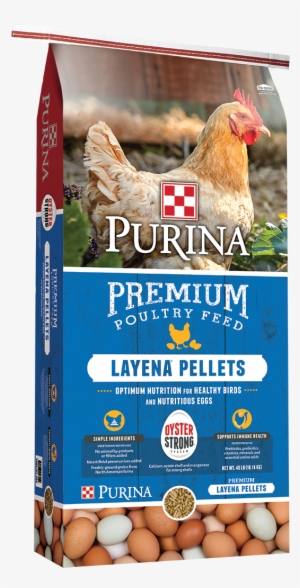 Layena Pellets Oyster Strong Bag Png Poultry & Small - Purina Chicken Layena Pellets