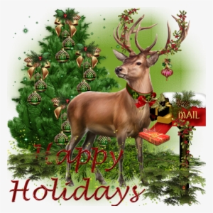 138740722 5937561 Ppy25bv3u4jz - Christmas Day