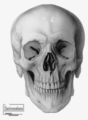 Render Autres - Applied Ethics: Medical Ethics And Other Types