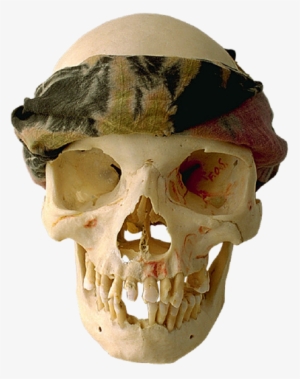 Skull-016 - Cafepress Fireeyed Skull Wall Calendar