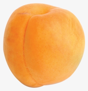 Backgrounds, Free, Backdrops - Persimmon