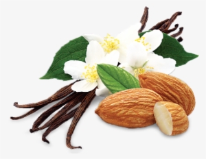 Vanilla Almond Crunch