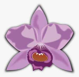 Orchid Clipart At Getdrawings - Cattleya Clipart