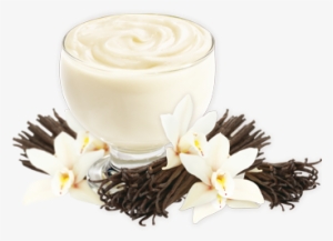 Vanilla Pudding Mix - Vanilla Flower And Beans