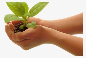 Erie Innovation - Major Donor