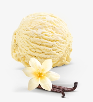 Cremissimo Laktosefrei - Vanilleeis Png