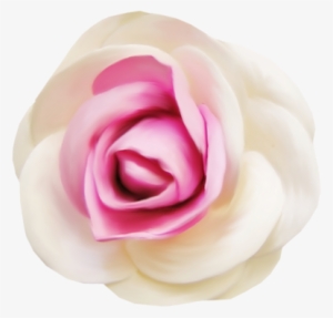 Rose - Portable Network Graphics