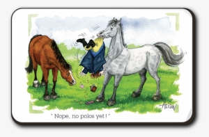 No Polos Yet Worktop Protector