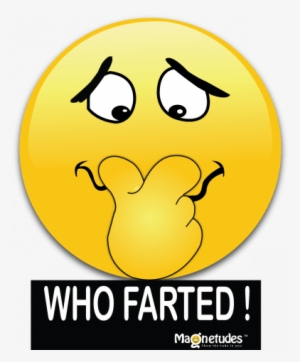 Emoji Car Magnets With Captions - Hilarious Emoji