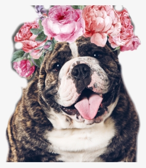 Quadro Decorativo - Flores - 070qdfb