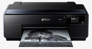 Surecolor Sc-p600 - Epson P600