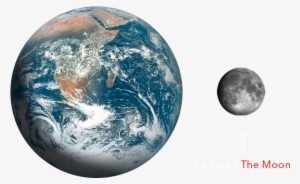 Description Structure Dynamique - Planet Earth