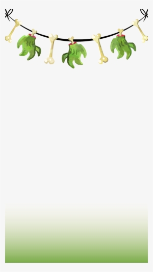 Bones And Claws - Gourd