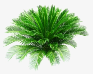 Share This Image - Psd Official