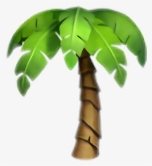 Palmera Whatsapp Tantranquiloytropical - Palm Tree Emoji
