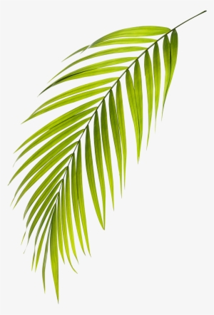 Real Estate Development