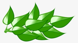 Leaves 4 Clip Art At Vector Clip Art Png - History Of Medicine