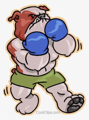 Bulldog Boxing - Bulldog Boxe