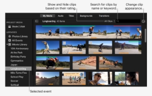 Selecciono La Informacion Que Necesito Animado