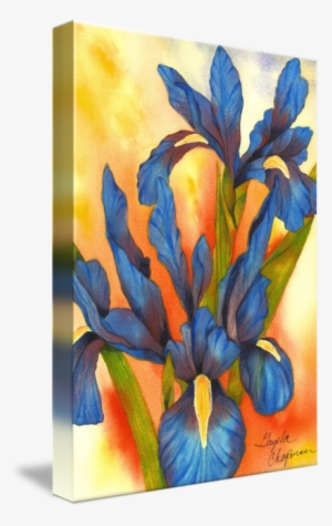 "bold Beautiful Blue Iris" By Gayela Chapman - Gallery-wrapped Canvas Art Print 16 X 23 Entitled Bold