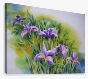 Lily Canvas Print - Iris