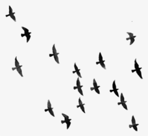 Picsart Background Hd Talim Khan Boy Editing Al On - Png Background Hd For Picsart