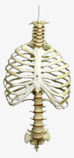 New Picsart Editing Png Cb Edits Swappy Pawar - Png Cb Picsart Background