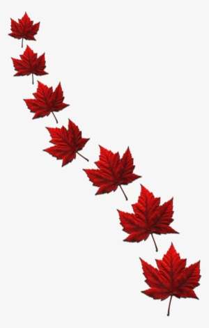 Canada Souvenir Polo Shirts Canada Flag Golf Shirts - Canada Maple Leaf Art