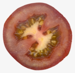 Qubodup Tomato Tomate - Food