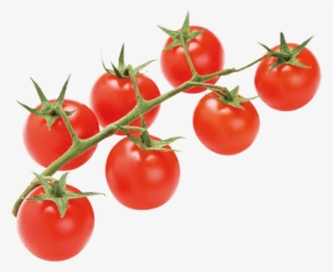 Tomates Grappes Azura - Fruit Tomate