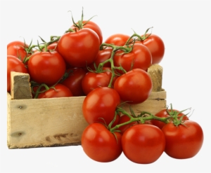 Tomato Flakes Bag 10kg - Half Page Ads Newspaper India