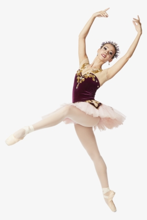 Sidebar Image 5 - Ballet Dancer