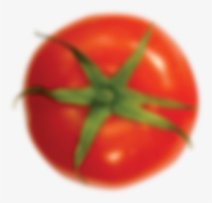 Fuginolândia - Tomato