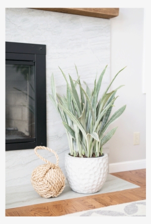Fireplace Beach Details - Beach