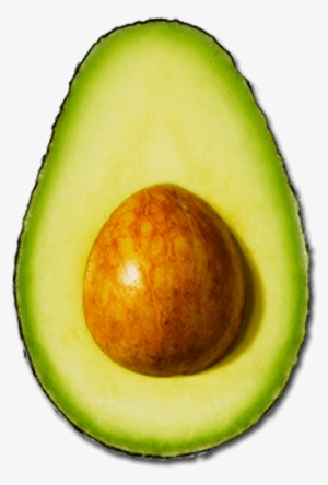 The Avocado - Aguacate Png
