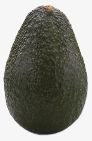 Green With Dark Green Patches - Avocado