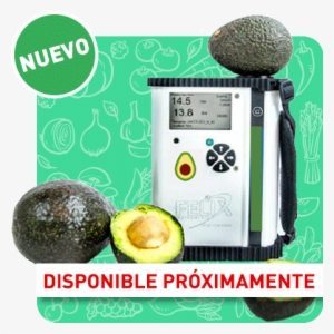 Laboratorio Portátil De Materia Seca Y Calidad Para - Dry Matter