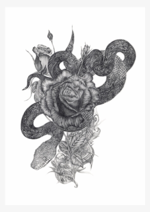 Trip Snake - Special Edition