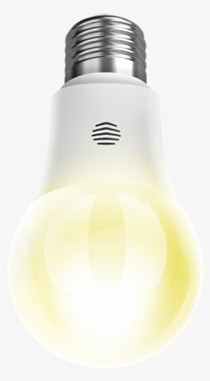 Incandescent Light Bulb