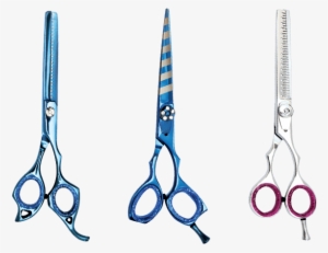 Beauty Surgical Instruments