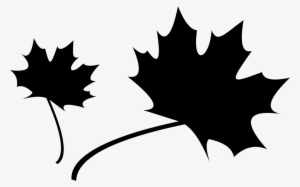 Png File - Icon