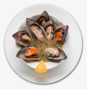 Mussel Chowder - Mussel