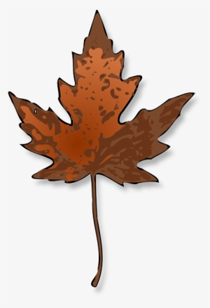 Maple, Leaf, Autumn, Fall, Dry, Nature, Canada - Maple Leaf Clip Art