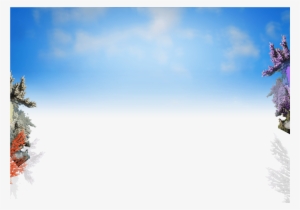 Sky Bg Full - Christmas Tree