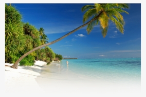 Header-background - Banquet Financial