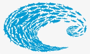 Costa Del Mar Costa Logo Schoolin Decal, Angle - Costa Sticker