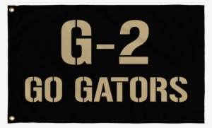 Company Flag G-2 Gators - 2pm Hands Up Album Cover