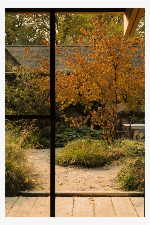 Text - New Mexico Maple